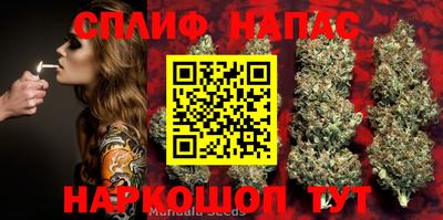 прущие грибы Чебаркуль