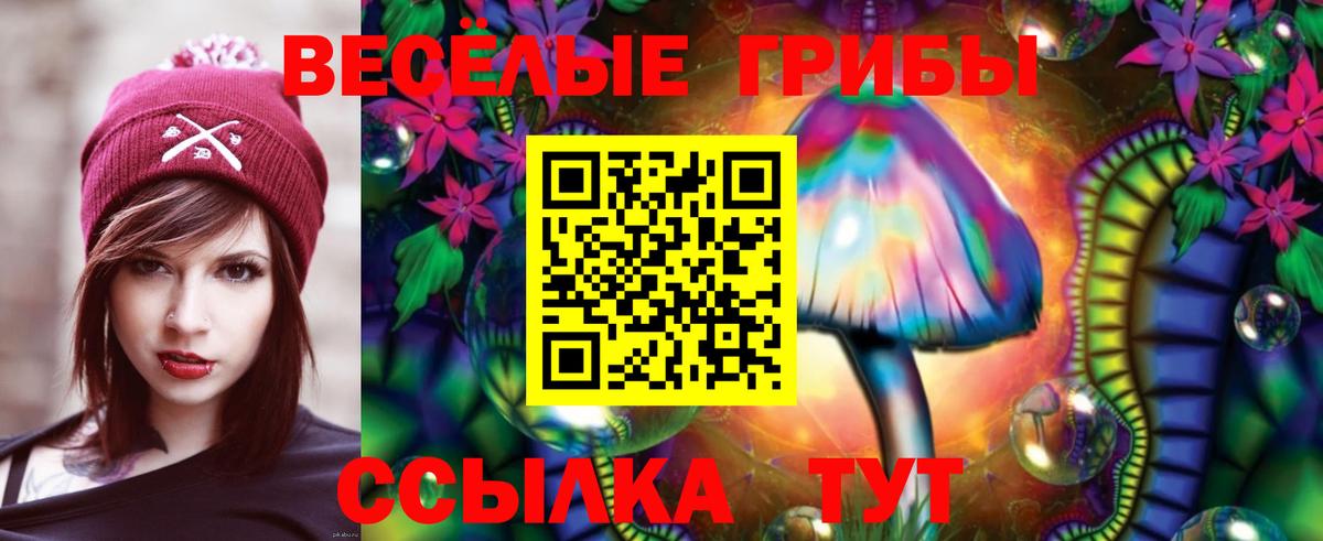 Чусовой  продажа наркотиков  Вход с VPN  Псилоцибиновые грибы GOLDEN TEACHER  Псилоцибиновые грибы MAGIC MUSHROOMS 